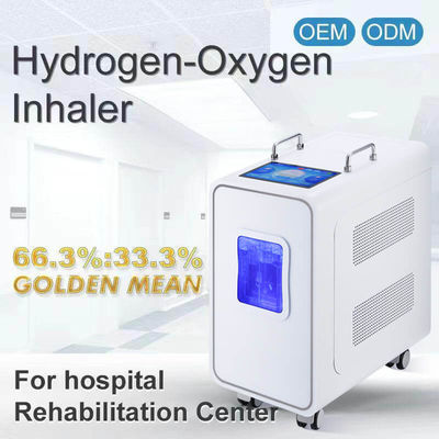 Good price 110v 220v होम पीईएम हाइड्रोजन इनहेलेशन थेरेपी मशीन 3000ml ऑनलाइन